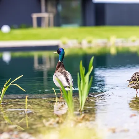 Basom - Mano Jura 3 Kunigiskiai - By Hello Sea Homes Appartement *