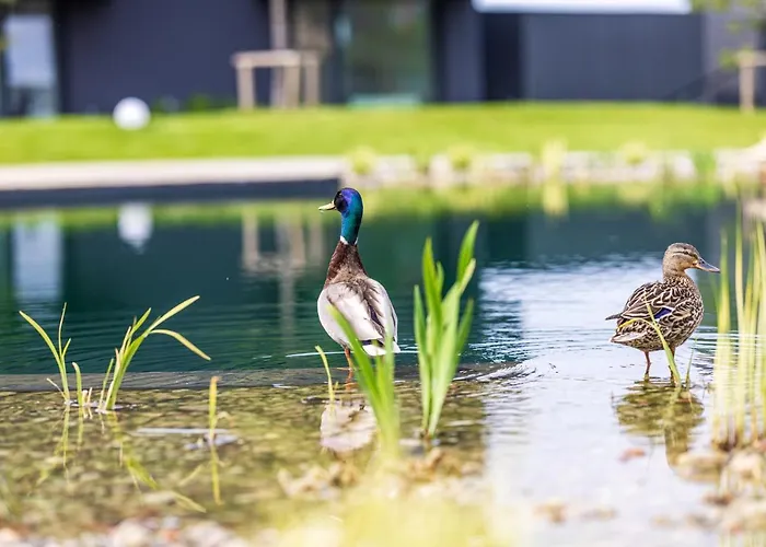 Basom - Mano Jura 3 Kunigiskiai - By Hello Sea Homes Apartment *